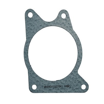 Generac Water Pump Gasket (0G02070207)