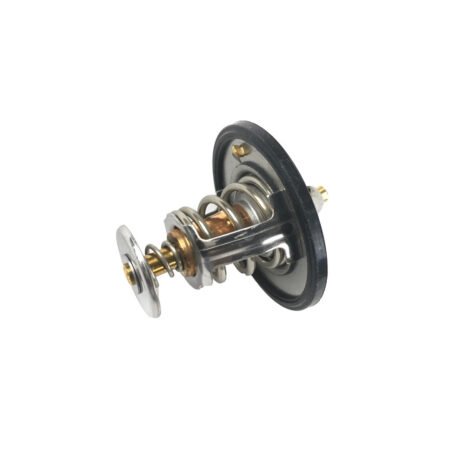 Generac Thermostat (0G10080276)