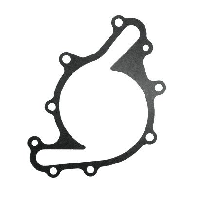 Generac Gasket, Water Pump (0G49690202)
